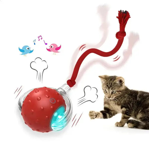 USB Şarjlı Hareket Edebilen Top Kedi Köpek Oyuncağı PATİVOX