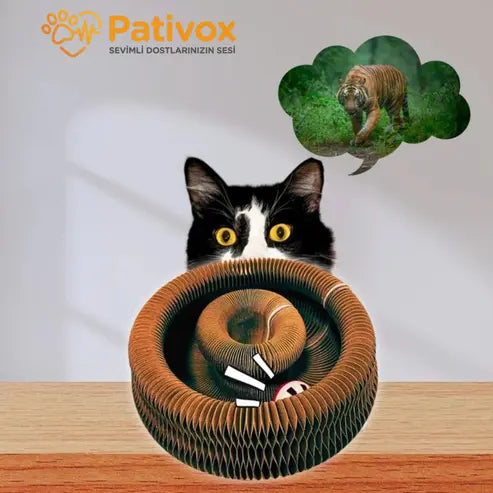 Pativox™ Akıllı Tırmalama ve Oyun Yatağı PATİVOX