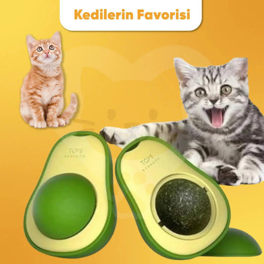 Kedi Nanesi Oyuncağı PATİVOX