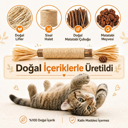 Doğal Matatabi Çiğneme Çubuğu PATİVOX