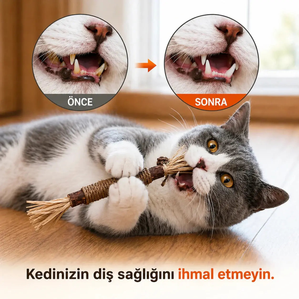 files/miyavitaDogalCignemeCubugu_4.png