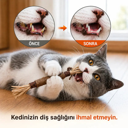 Doğal Matatabi Çiğneme Çubuğu PATİVOX