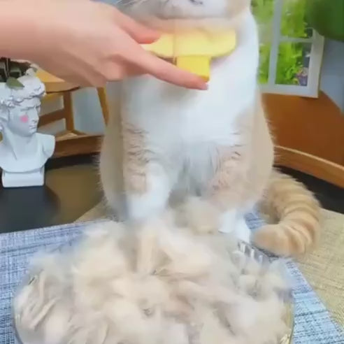 Kedi & Köpek Tüy Toplama Tarağı