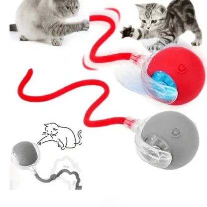 USB Şarjlı Hareket Edebilen Top Kedi Köpek Oyuncağı PATİVOX