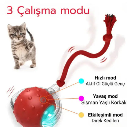 USB Şarjlı Hareket Edebilen Top Kedi Köpek Oyuncağı PATİVOX